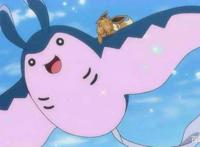 浅谈精灵宝可梦的各种原型来源