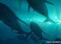 《大鱼海棠》，这部动漫大片你看过吗？跟我来了解一下