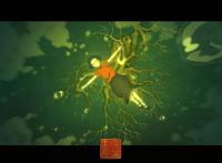 《大鱼海棠》不是爱情动漫！