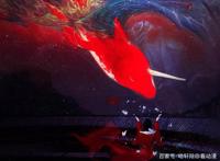 催泪动漫来袭：大鱼海棠（下）