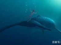 《大鱼海棠》：奇异玄幻！中国动漫的经典之作