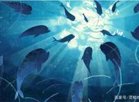 大鱼海棠：不被捆绑的情绪，深度解析剧情瑕疵