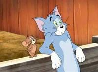 你以为汤姆真的想吃杰瑞？相反，它是最离不开杰瑞的