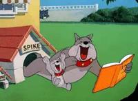 多年后再看《猫和老鼠》，才发现很多细节都被我们忽略了