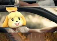 动森玩家究竟该给自己的岛起什么好名字？本文可能会帮到你