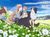 专访｜《朝花夕誓》导演冈田麿里：我不是故意让观众流泪的