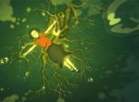 中国动漫以魁拔为代表正在崛起，这几部国产制作，每一部都是巅峰