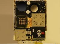 全球首个“太空熊猫”首飞太空将与地球“合影”「组图」