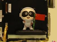 全球首个“太空熊猫”首飞太空将与地球“合影”「组图」