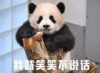 我们的滚滚是如何征服世界的？