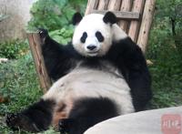 OMG！滚滚de尾巴，真的是白的？！