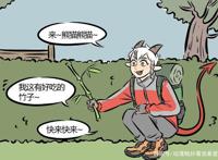 万圣街：包曼为了找熊猫，下了一番功夫，艾勒都无语了！