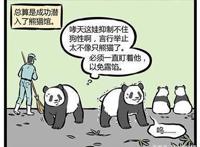 非人哉：哮天犬假扮大熊猫，让十一月担心不已，然而他却露馅了