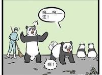 非人哉：哮天犬假扮大熊猫，让十一月担心不已，然而他却露馅了