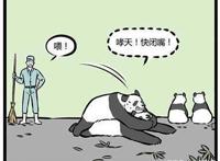 非人哉：哮天犬假扮大熊猫，让十一月担心不已，然而他却露馅了