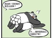 非人哉：哮天犬假扮大熊猫，让十一月担心不已，然而他却露馅了