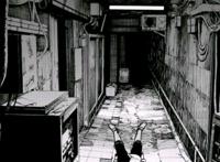 《电锯人》漫画，上架之后，翻译问题引发热议