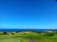 马伯庸，网文年代幸存的非典型作家