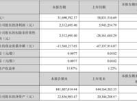 2.26亿元逾期债务压顶长城动漫靠“瑕疵收入”勉强盈利
