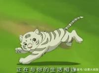 谁还记得这些童年动漫节目？90后一看就想起来了，你中招了么？