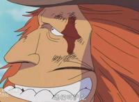 喜欢海贼王，但是你知道“D”到底是什么意思吗？