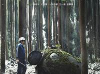 北影节抢票结束《航海王：红发歌姬》最快售罄