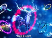 斗罗大陆：这几只魂兽经常出现在动漫里，却没有人知道它们的名字