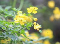 《鲁滨逊漂流记》好词好句，建议收藏