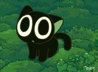 终于等到你，还好没放弃！《罗小黑战记》火热来袭