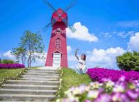 武汉周边发现宫崎骏同款花海！1.5小时直达，漫山绣球花正逢盛放