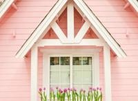 徜徉郁金香空中花园，百万葵园的冬日恋歌