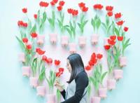 徜徉郁金香空中花园，百万葵园的冬日恋歌