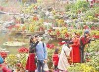 广东花市年年有，今年大不同！水上花城、AI嘉年华……等你来！