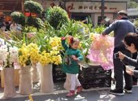 广东花市年年有，今年大不同！水上花城、AI嘉年华……等你来！