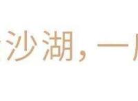 龙湖杭州金沙天街：天街名片，风从金沙来