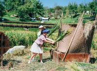 两江新区“十一”黄金周商圈景区人气高消费旺！