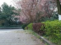 重庆周边公园整理丨适合带小孩玩耍的公园