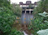 重庆周边公园整理丨适合带小孩玩耍的公园