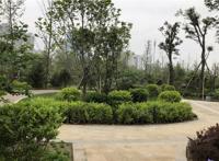 石家庄多座公园十一开放其中一座填补东北区域缺失中大型公园的空白