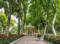 广州第一座综合性公园，曾经榕树参天，游人如织，现在有点冷清