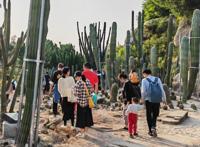 厦门遛娃宝藏地清单，10座公园让大人和小孩都都可以愉快地玩耍