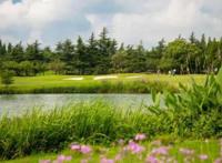 上海之根，人文松江｜喜欢上海的理由