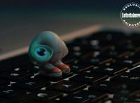 《穿鞋子的贝壳马塞尔》发布剧照神奇的贝壳生物