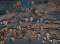 穿着鞋子的贝壳马塞尔：烂番茄99%新鲜度，8.4分的A24高口碑电影