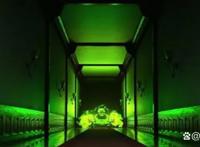 闪电麦昆回归？动画《赛车总动员：公路旅行》来了，9月8日上线