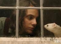 年度第一动漫展还有7天，除了漫威DC还有哪些惊喜可以期待？