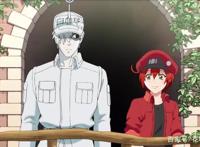 JOJO：第六部石之海特辑来袭，正片还会远吗