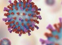 奥密克戎疯狂变异，广州彰显大智慧：夏日抗疫不会“冷冰冰”