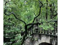 宁波夏日，被这三个疯狂种草的夏日避暑胜地，你一定要去感受一下