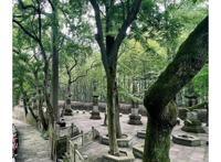 宁波夏日，被这三个疯狂种草的夏日避暑胜地，你一定要去感受一下